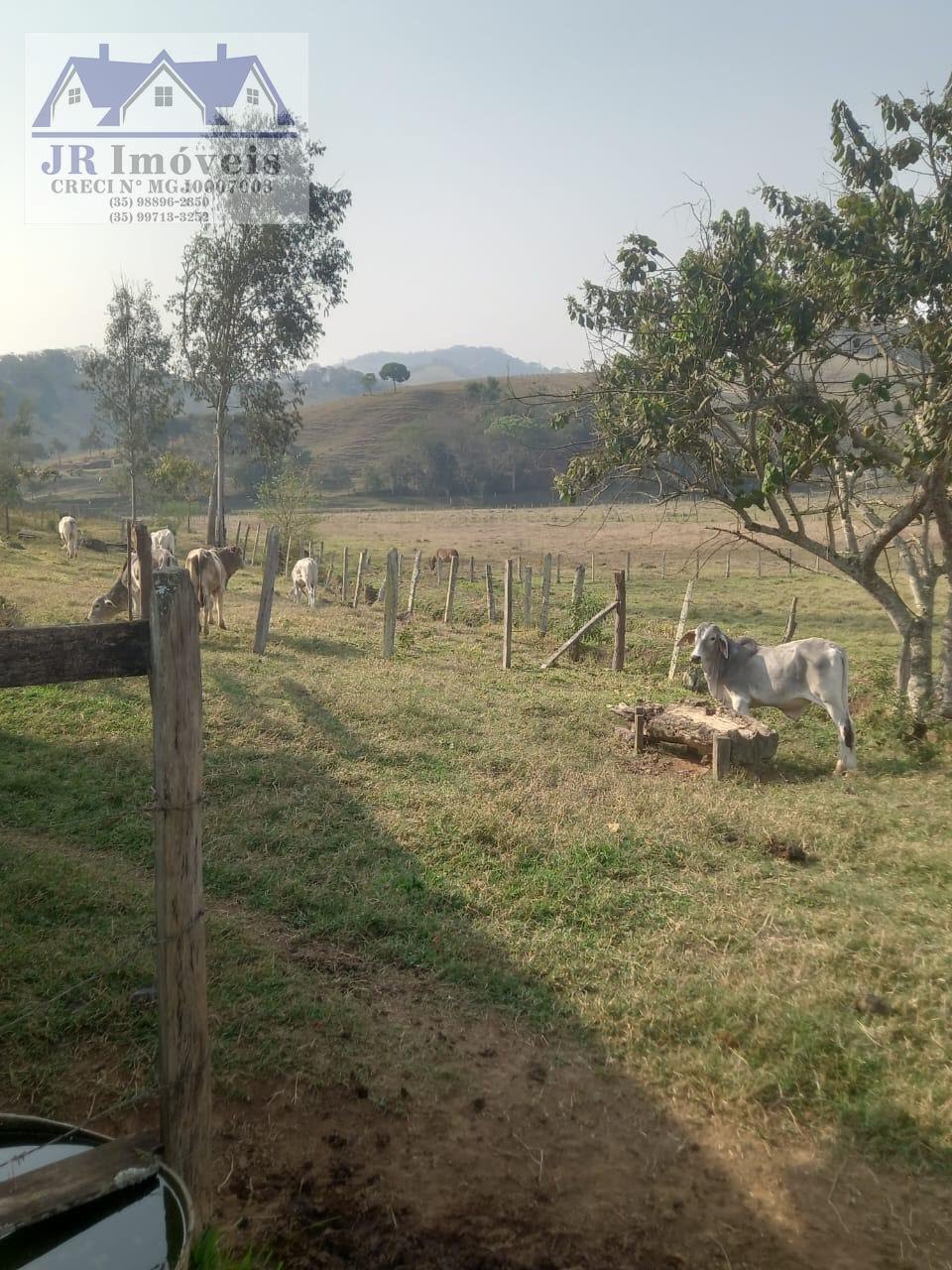 Rural à venda com 140m² de terreno no Teodoros, Brazópolis (MG) — foto 23 de 26