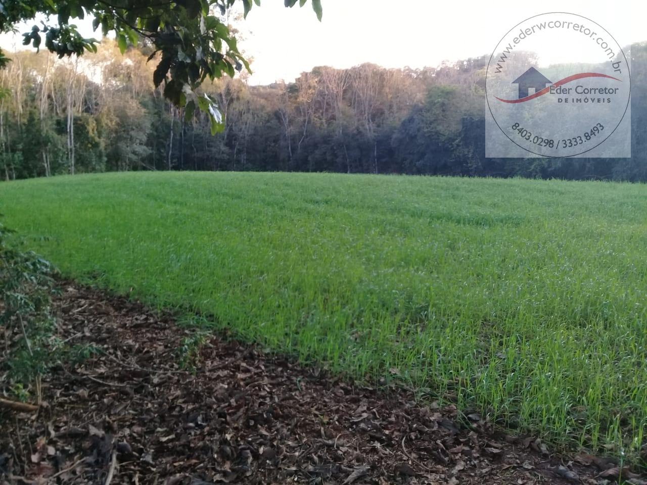 Rural à venda com 21250m² de terreno no Interior, Ijuí (RS) — foto 6 de 6