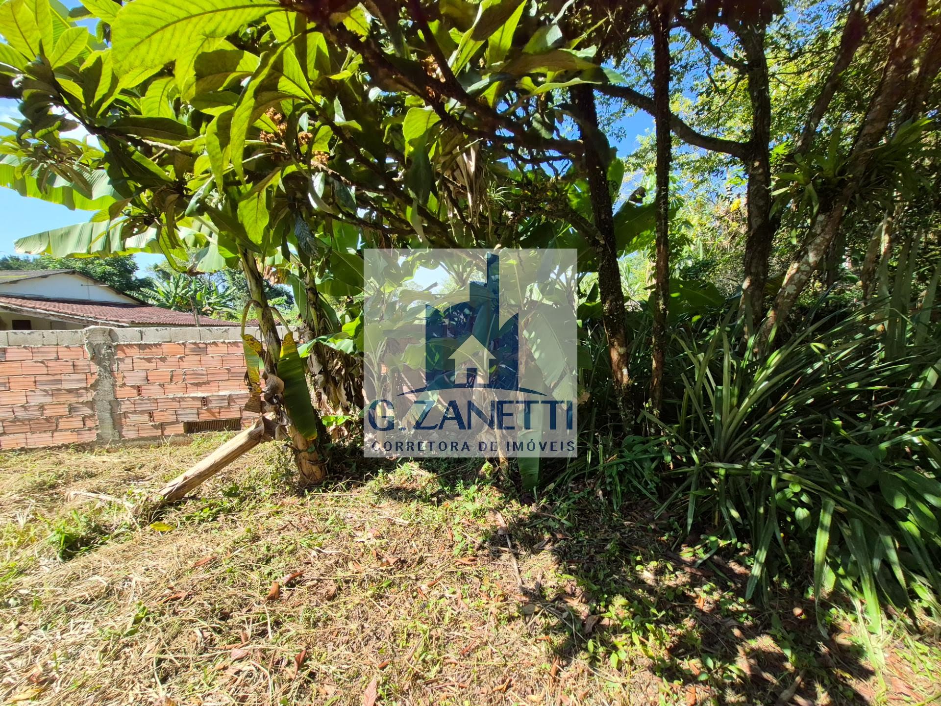 Fazenda, 603 m² - Foto 17