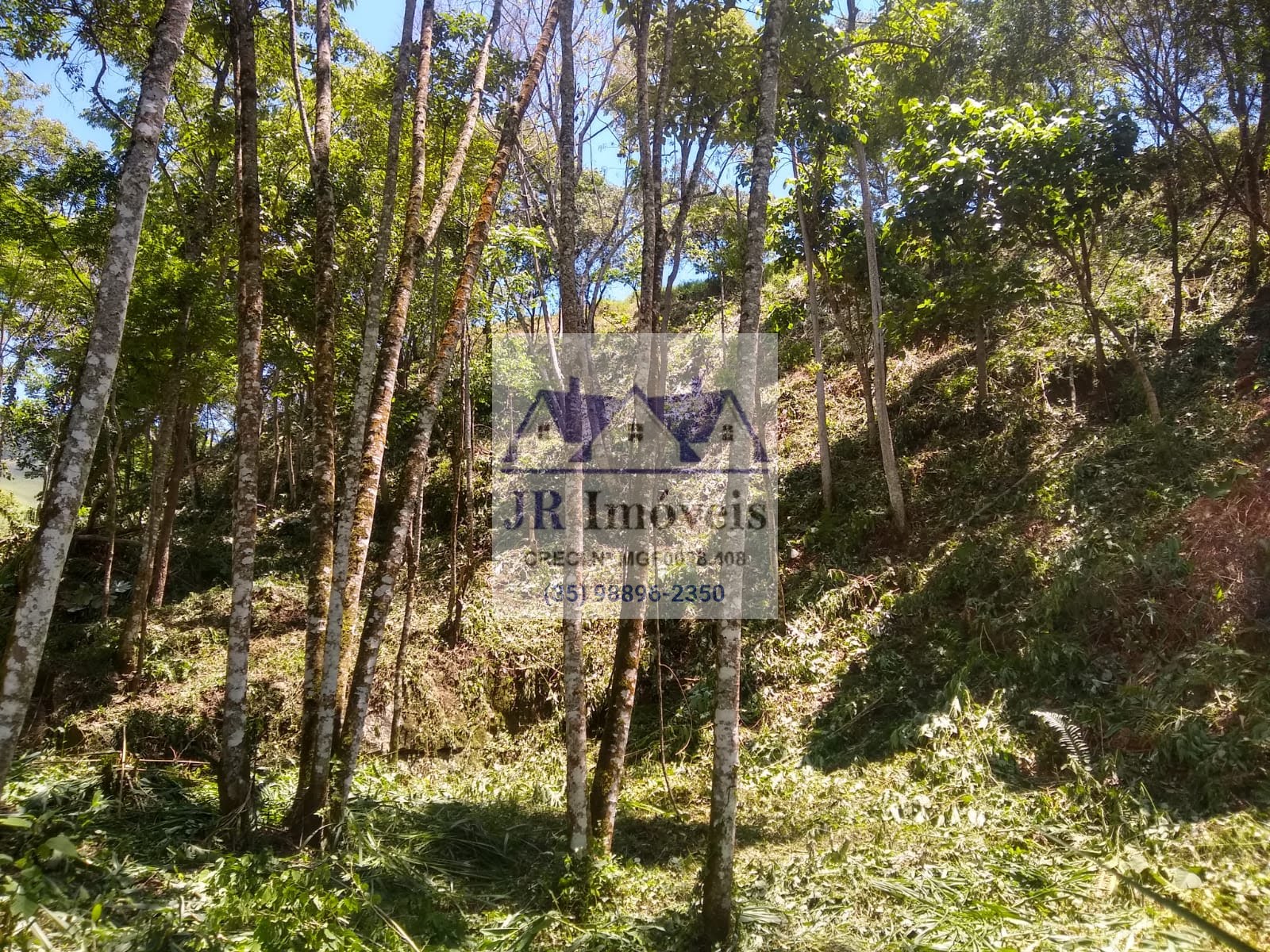 Terreno à venda com 3600m² de terreno no Taquaral, Delfim Moreira (MG) — foto 12 de 18