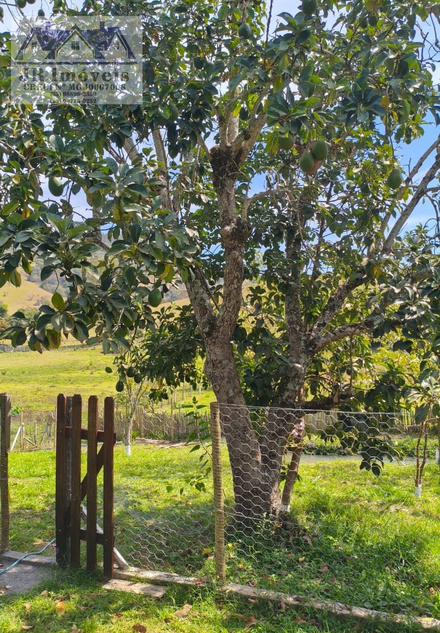 Rural à venda com 2000m² de terreno no Mangueiros, Piranguinho (MG) — foto 27 de 30