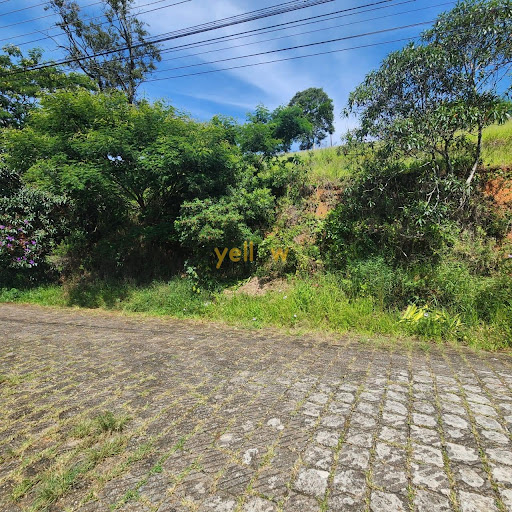 Terreno Residencial No Bairro do Lanificio - 681,1m²
