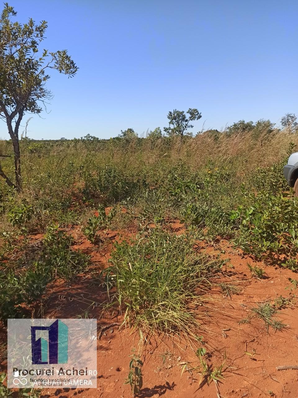 Rural à venda com 10000m² de terreno no Área Rural de Planaltina, Planaltina (GO) — foto 4 de 6