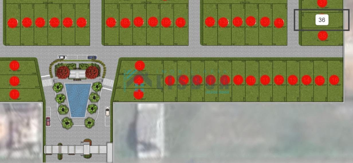 Planta de lotes