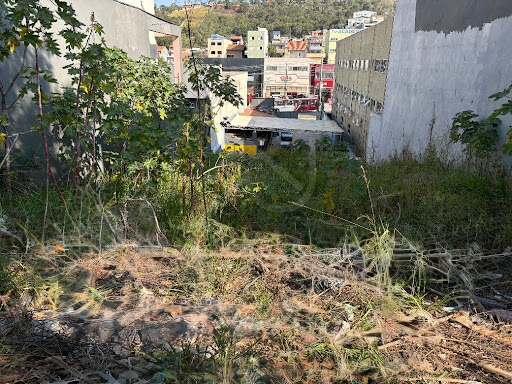 Foto 02