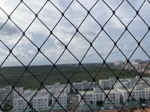 IMG_6327.jpeg