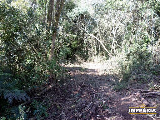 Foto 05