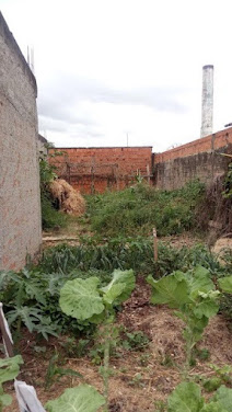 Terreno em Jardim Girassol  -  Hortolândia