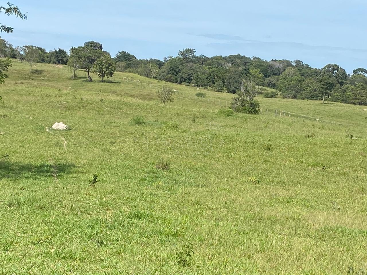 Rural à venda no Zona Rural, Itapuranga (GO) — foto 15 de 18