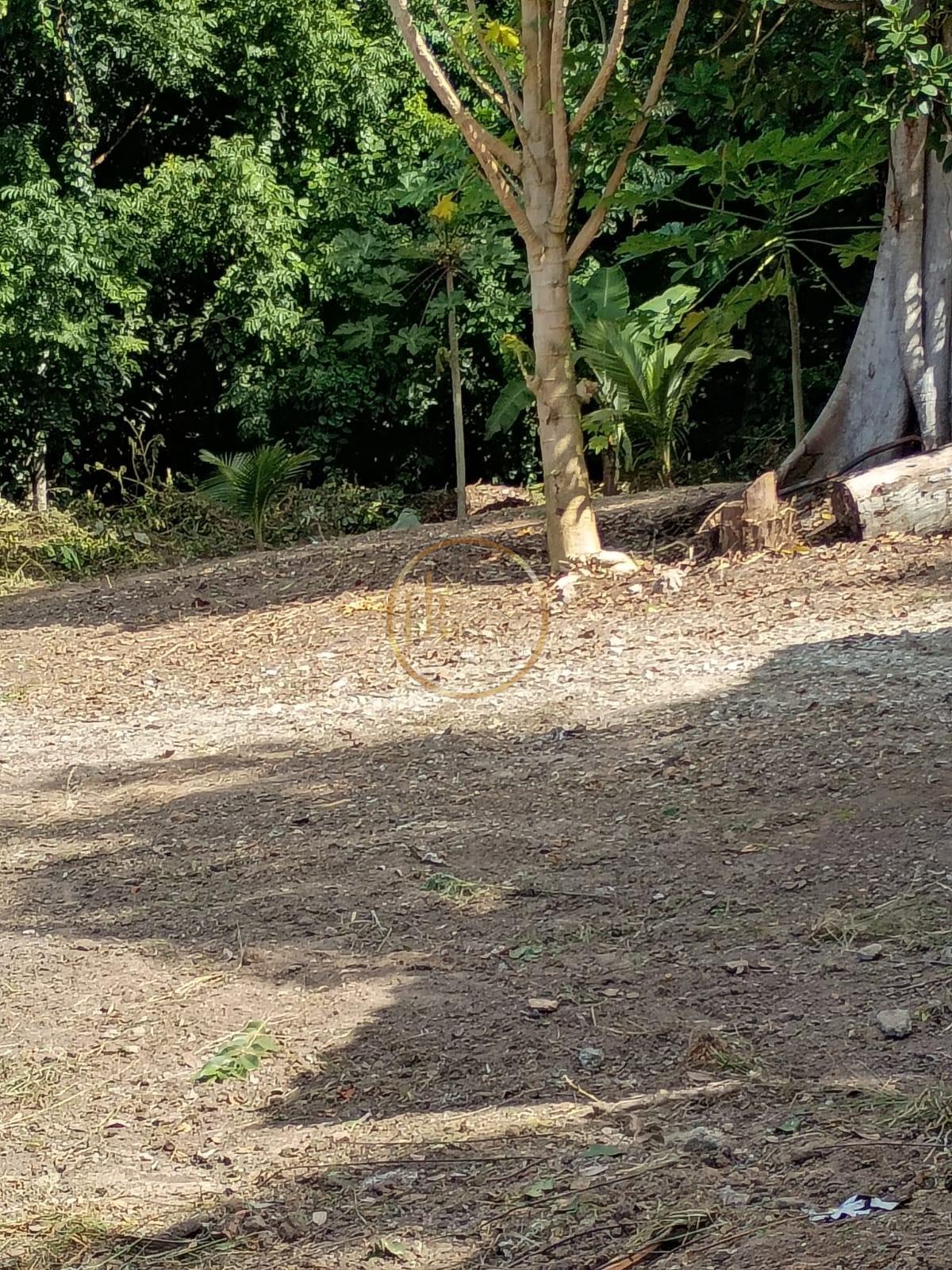 Terreno à venda com 1313m² de terreno no Praia dos Lenções, Santa Cruz Cabrália (BA) — foto 5 de 16
