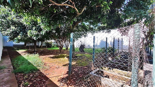 Casa, 6 quartos, 669 m² - Foto 19