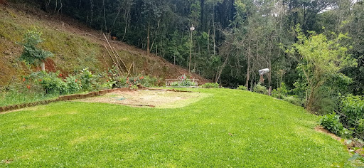 Sítio / Chácara COM CASA em Linha Brasília  -  Coronel Pilar