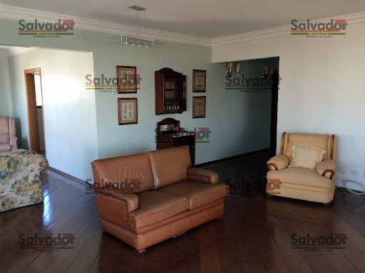Apartamento com vista para o Museu do Ipiranga, 243 m²