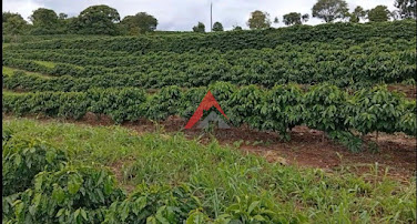 Sítio produtivo em Lavras/MG