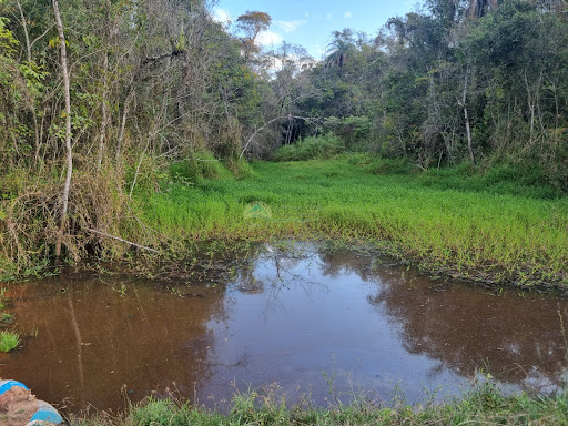 Sítio a venda em Casa Branca SP