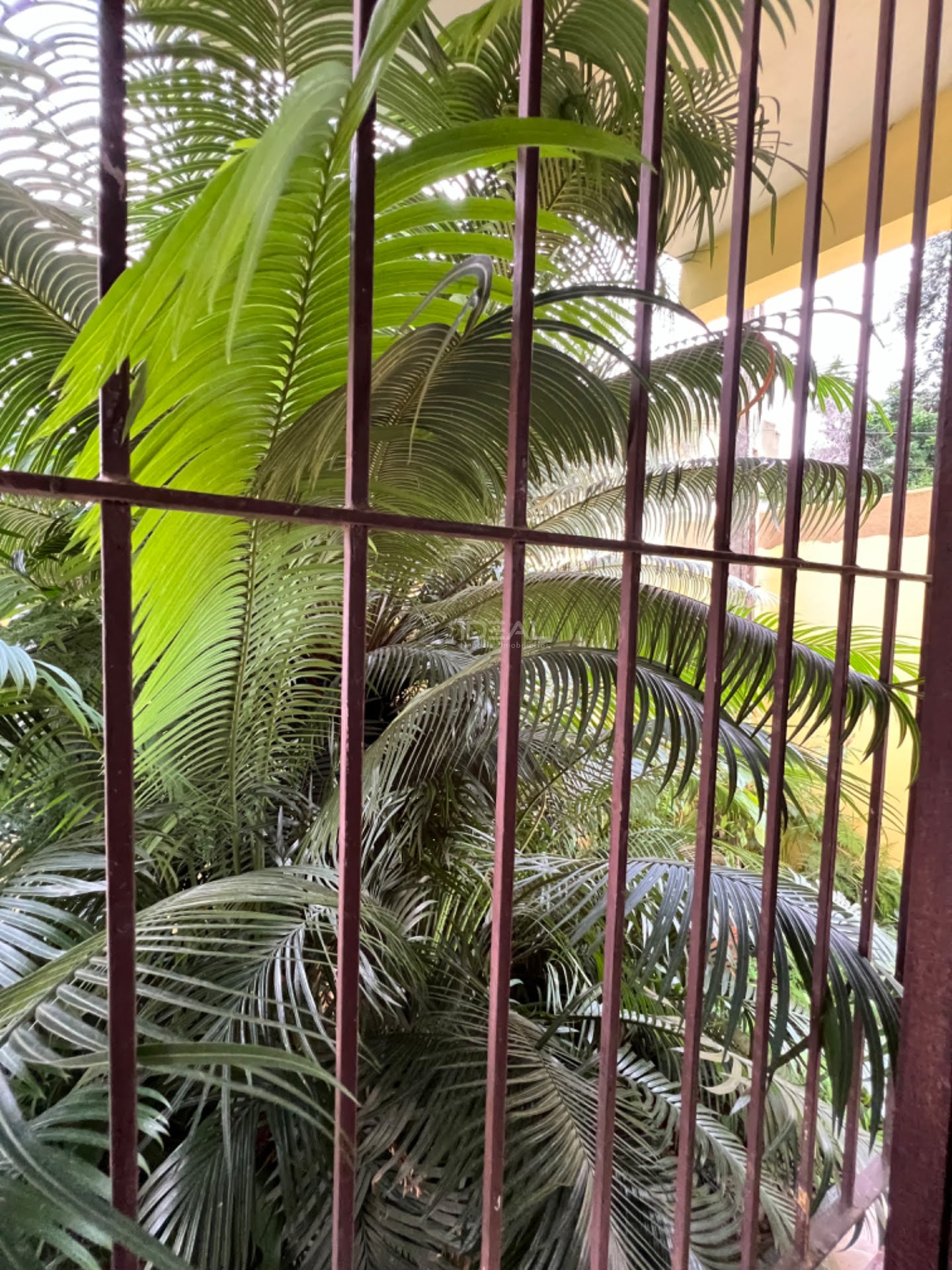 Casa à venda com 3 quartos, 3 banheiros e 114m² no Parque João Seixas, Campos dos Goytacazes (RJ) — foto 17 de 26