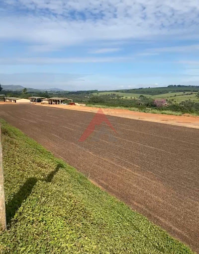 Fazenda  -  Piui-MG