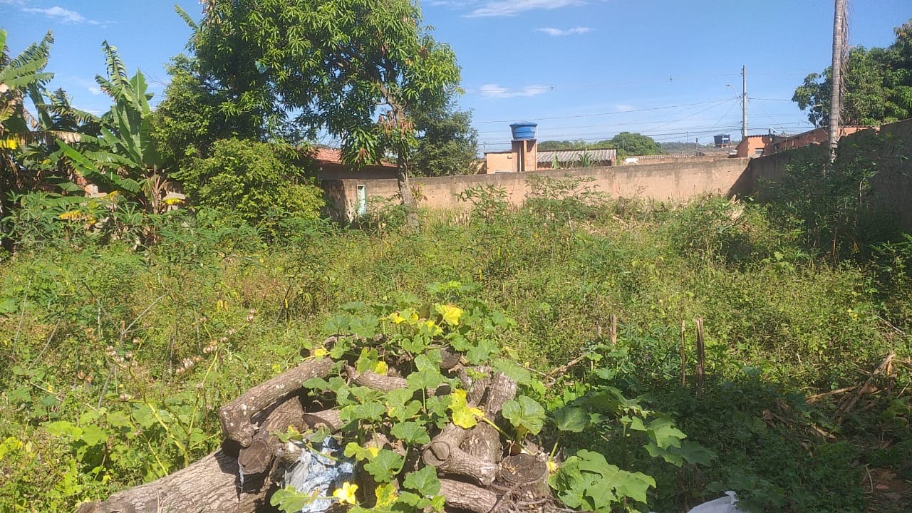Casa à venda com 3 quartos, 1 suíte, 10 vagas e 2500m² no Arapoanga Df, Planaltina (DF) — foto 12 de 25