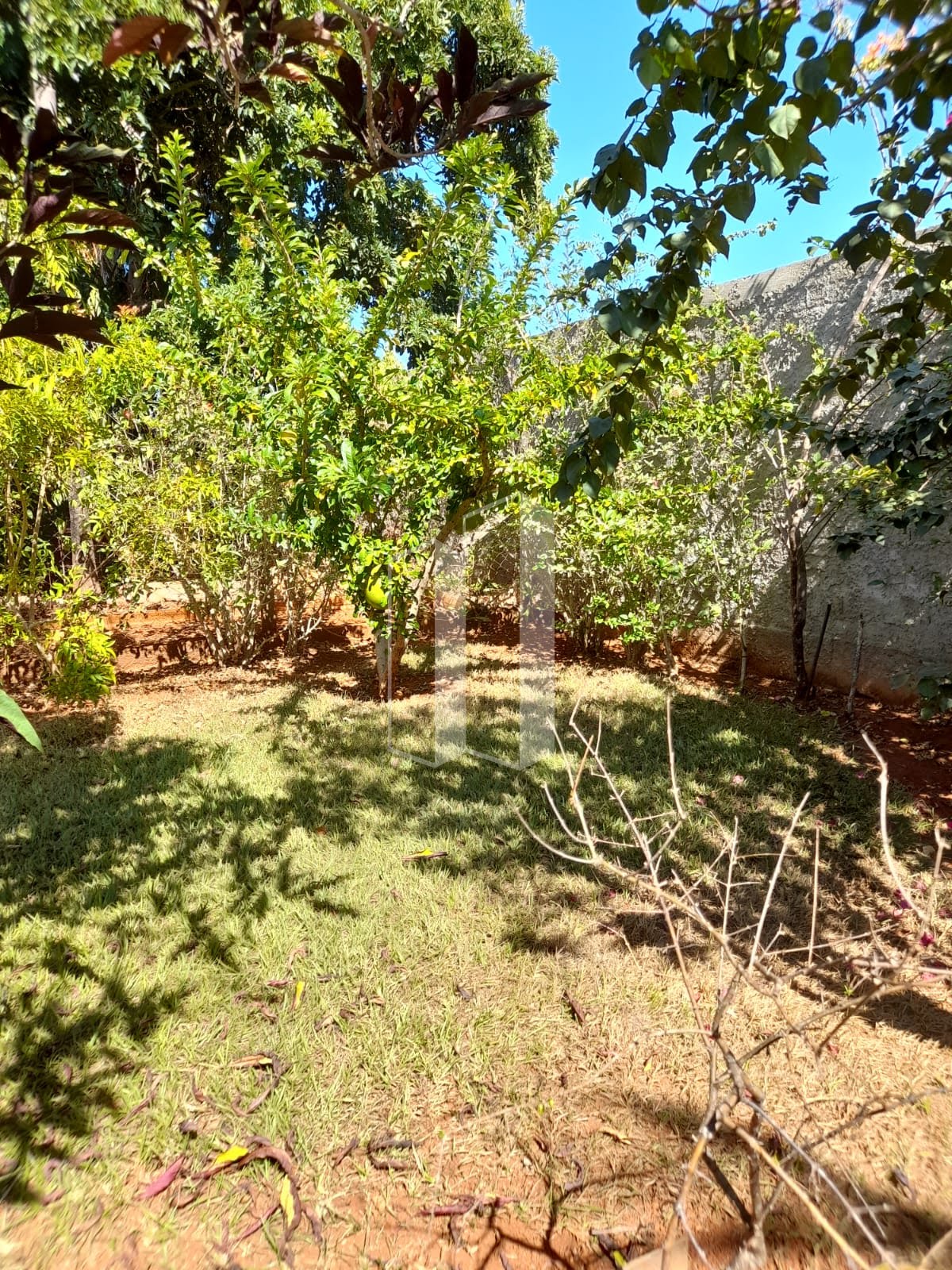 Rural à venda com 1000m² de terreno no Chácaras Vargem Bonita II, Senador Canedo (GO) — foto 6 de 23