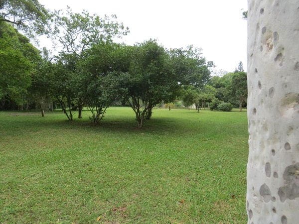 Rural à venda com 45000m² de terreno no Vargem Pequena, Florianópolis (SC) — foto 12 de 28