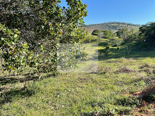 Sítio em Estrada Cataguases x Santana  -  Cataguases