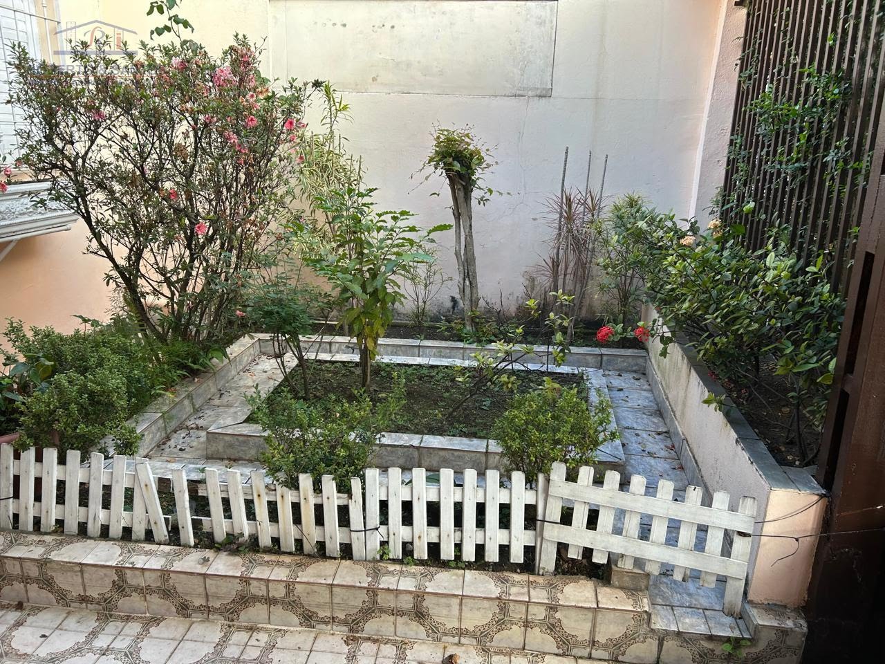 Jardim