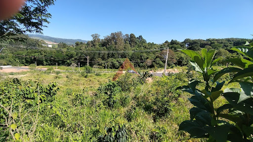 Lote em Loteamento Lisboa  -  Extrema