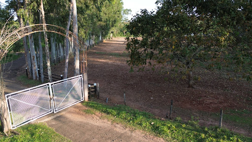 Chácara em Zona Rural - Campo Grande, MS