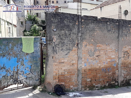 frente