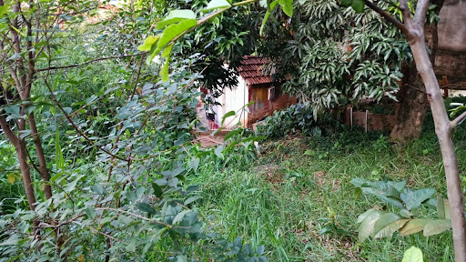 quintal