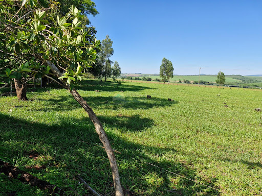 Área Empresarial a venda em Casa Branca SP