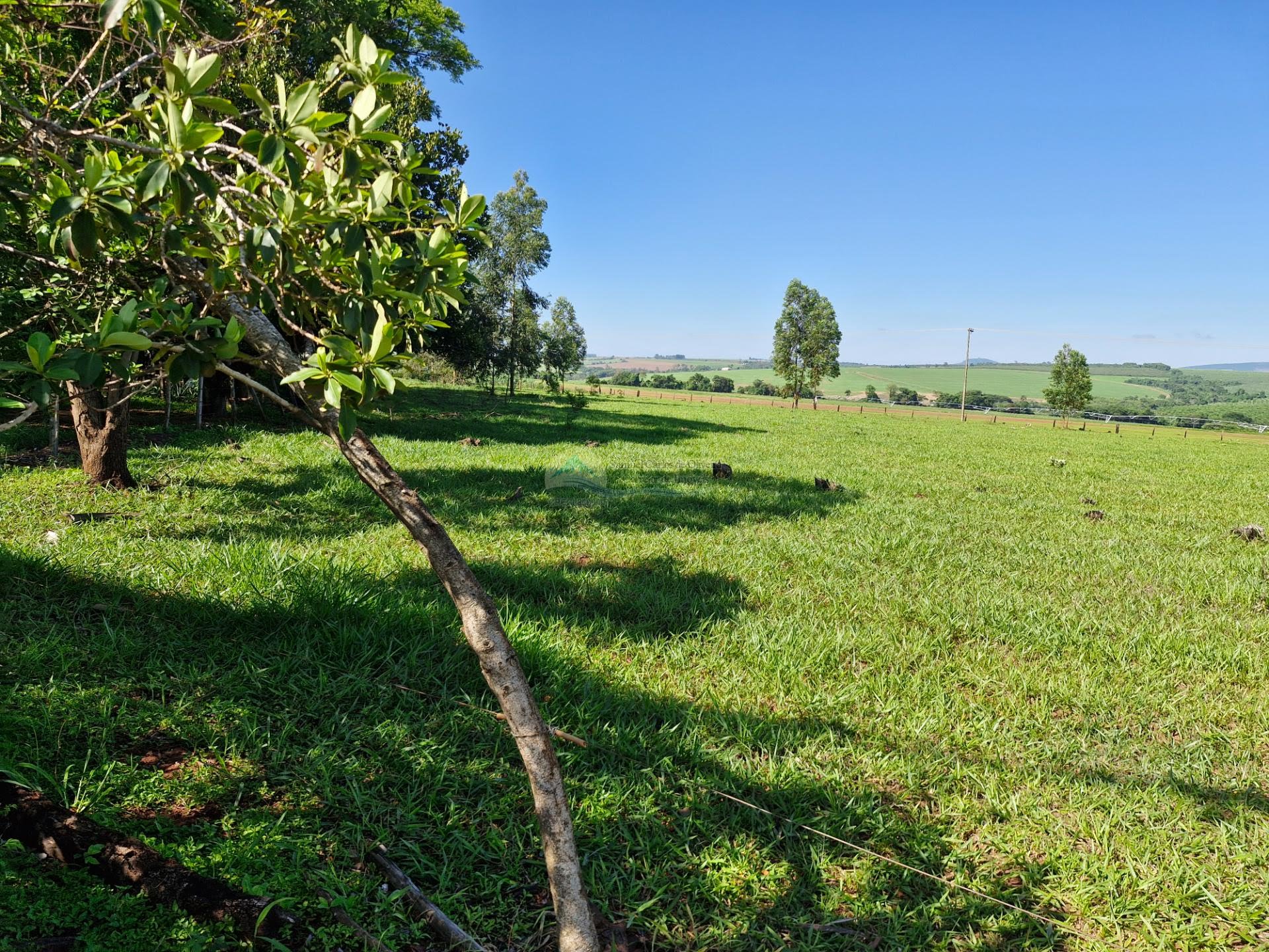 Área Empresarial a venda em Casa Branca SP