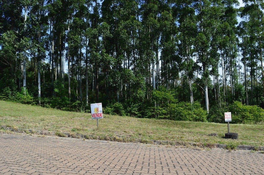 DSC_0019.JPG