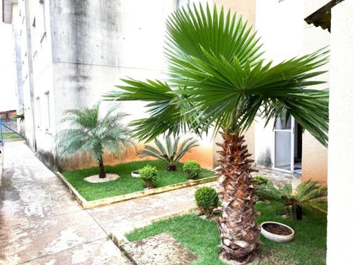 Foto 01