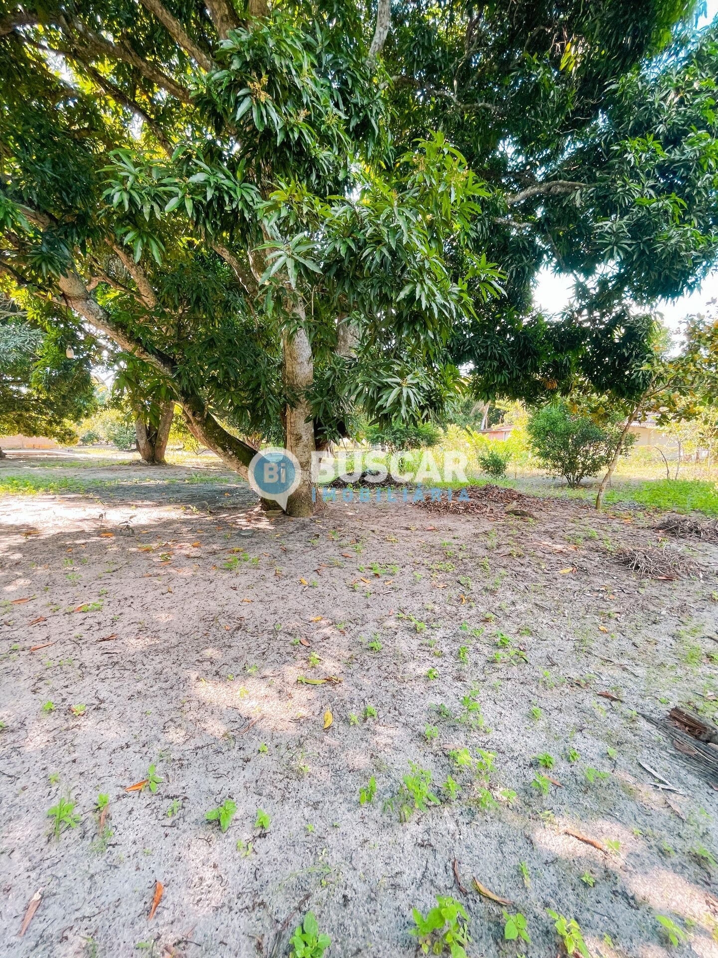 Rural à venda com 2000000m² de terreno no Rural, São Gonçalo dos Campos (BA) — foto 8 de 23