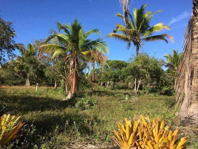 Terreno à venda com 210000m² de terreno no Trancoso, Porto Seguro (BA) — foto 13 de 18