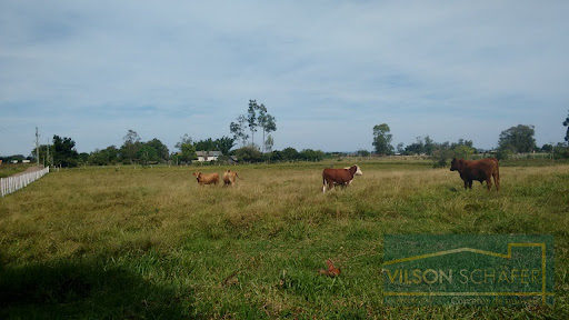 Excelente área de Terra  -  Santo Antônio da Patrulha