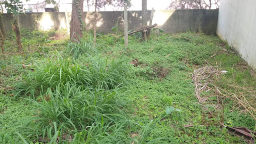 Terreno  à Venda em Chácara Monte Alegre  -  São Paulo