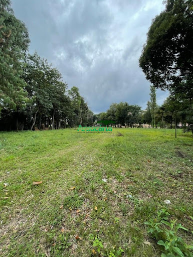 Foto 04
