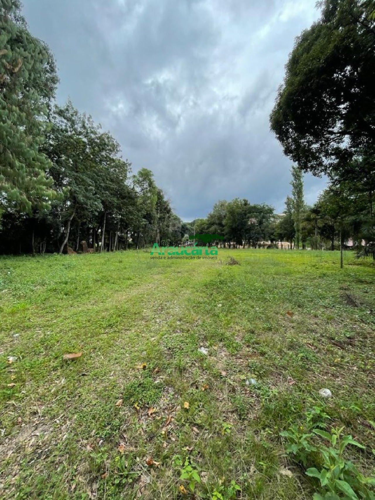 Foto 04