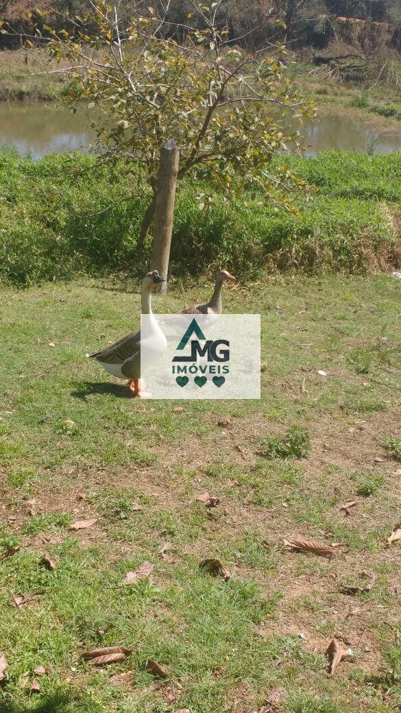 Terreno à venda com 4000m² de terreno no Area Rural Cambuquira, Cambuquira (MG) — foto 21 de 30