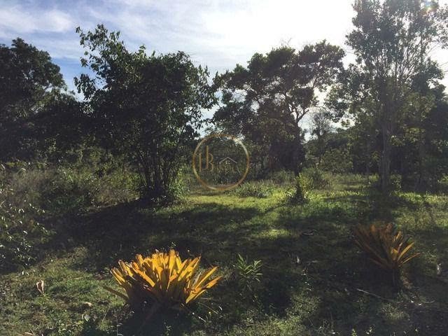Terreno à venda com 210000m² de terreno no Trancoso, Porto Seguro (BA) — foto 7 de 18