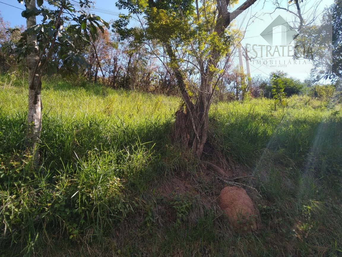 Terreno à venda com 15000m² de terreno no Centro, Areal (RJ) — foto 7 de 9