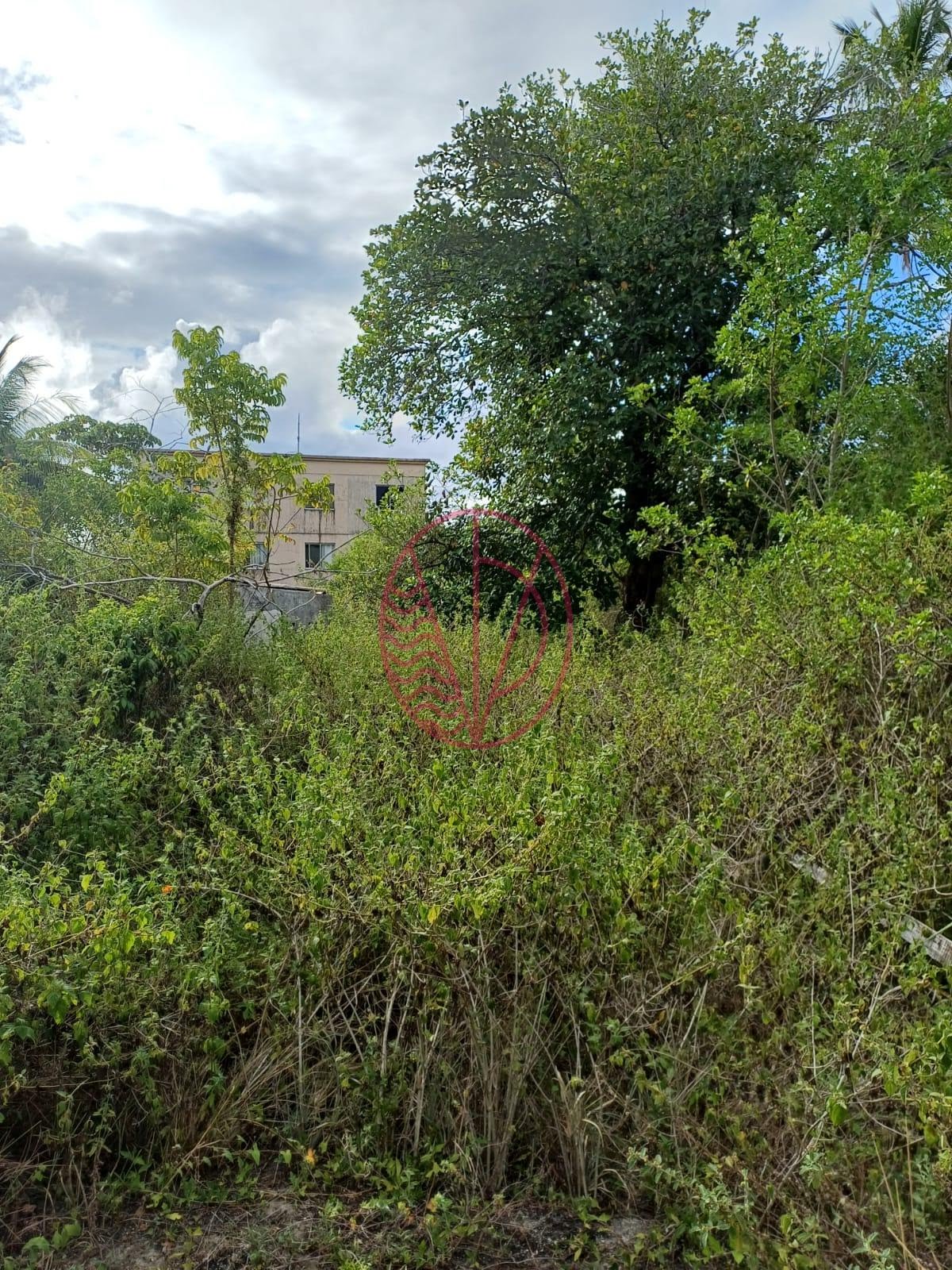Comercial à venda com 4350m² no Boa União (abrantes), Camaçari (BA) — foto 26 de 26