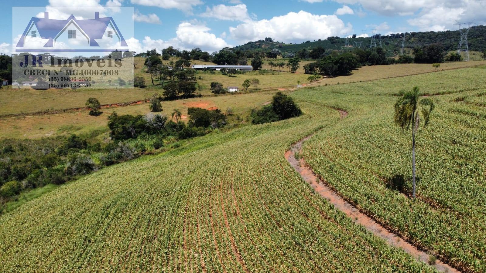 Rural à venda no Bairro Floresta, Piranguinho (MG) — foto 6 de 11