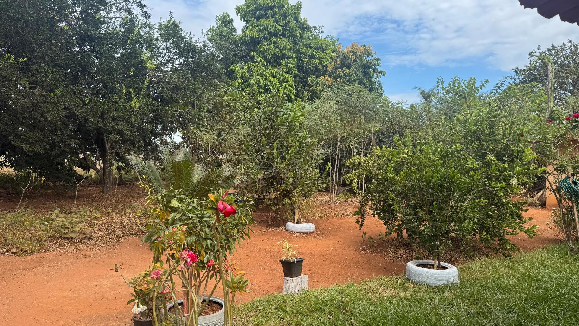 Rural à venda com 5445m² de terreno no Zona Rural de Heitoraí, Heitoraí (GO) — foto 2 de 30