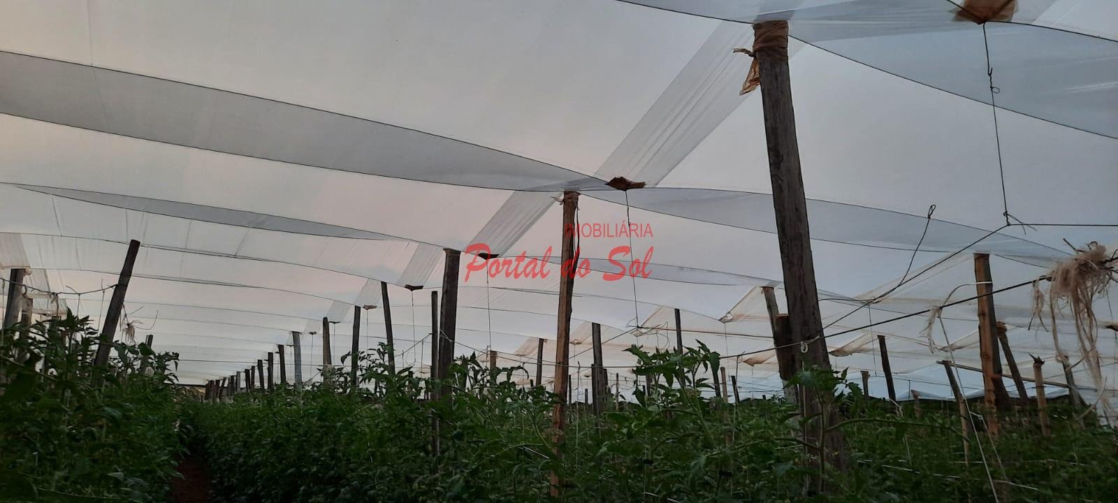 Rural à venda com 75000m² de terreno no Bairro Guimarães Carneiro, Santo Antônio da Platina (PR) — foto 24 de 27