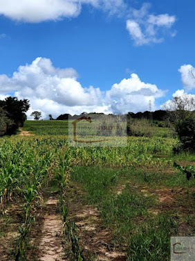 Sítio em Área Rural  -  Santa Rita do Passa Quatro