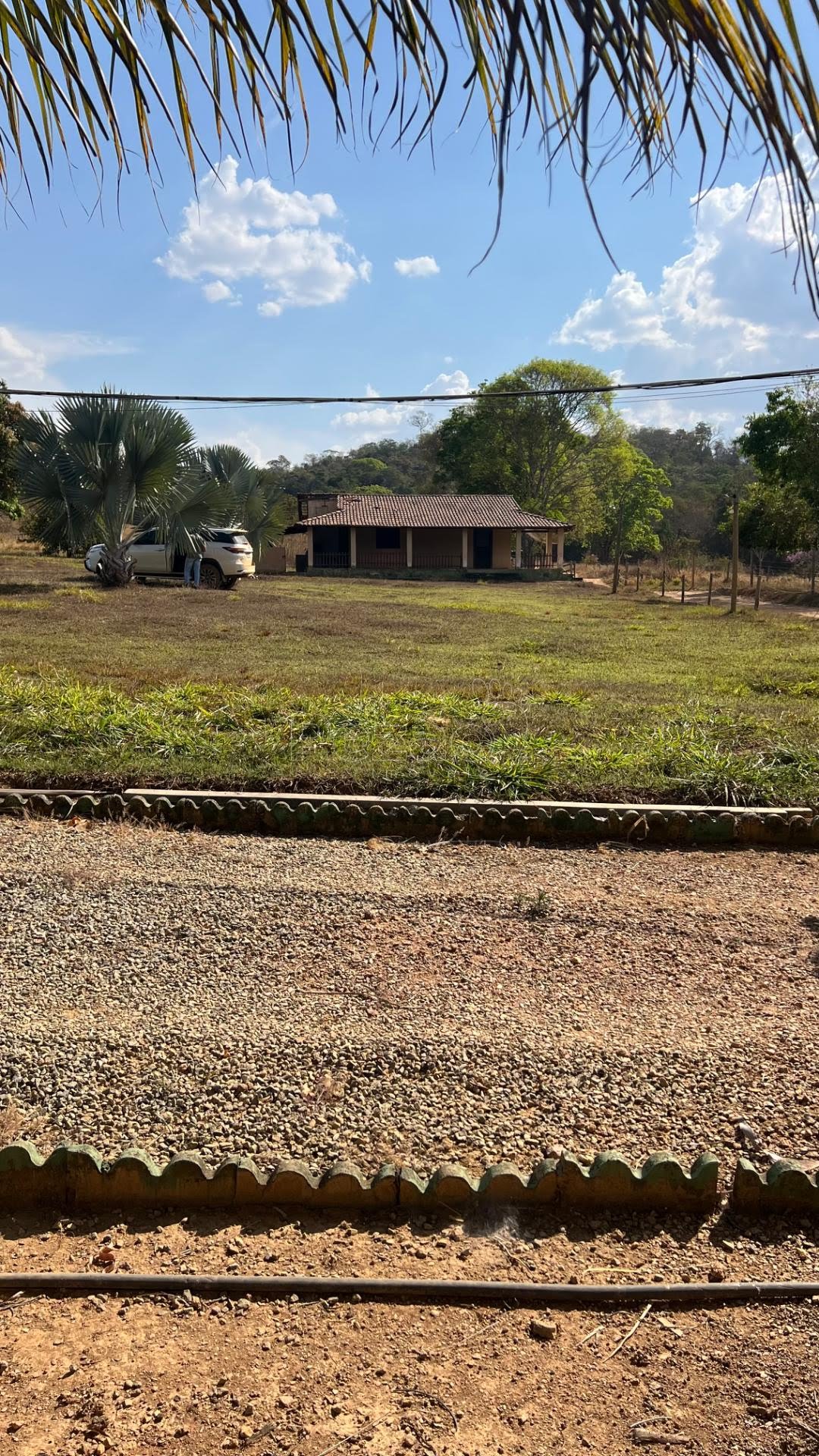 Fazenda, 1001 hectares - Foto 6