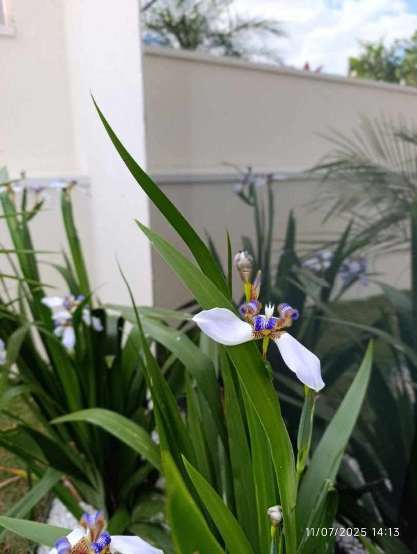 Casa à venda com 3 quartos, 3 suítes, 4 vagas e 156m² no Distrito de Bonfim Paulista, Ribeirão Preto (SP) — foto 13 de 30